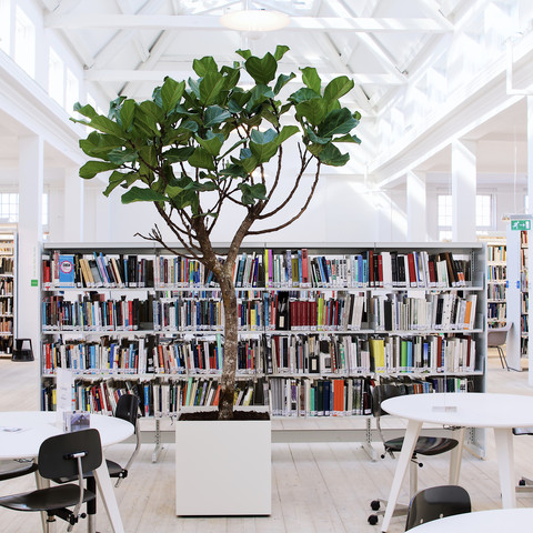 Resonate Jernbanestation Hukommelse Bibliotek | Den Danske Scenekunstskole