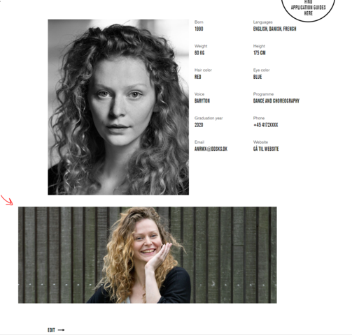 Example where neither 'Full width' or 'Full height' has been selected