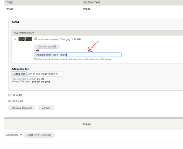 Add a description (optional). Click 'Create section' and 'Save'.