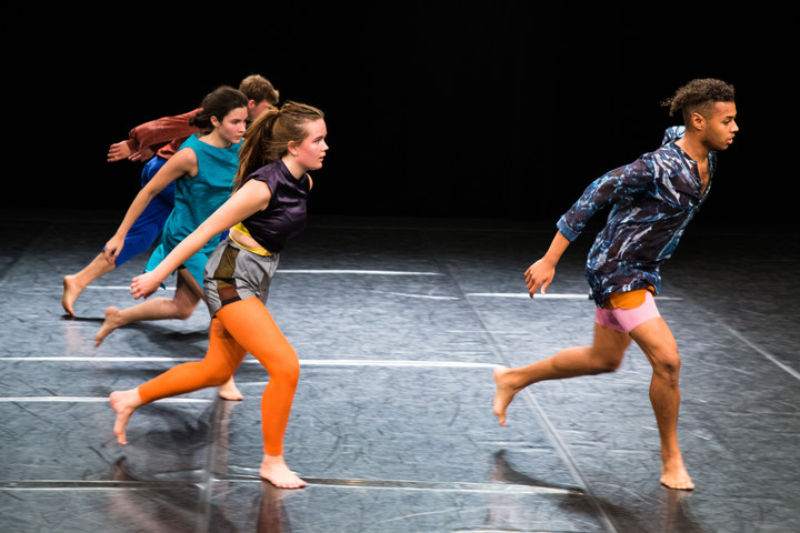 In a common dance © Samuel Feldhandler, 2020